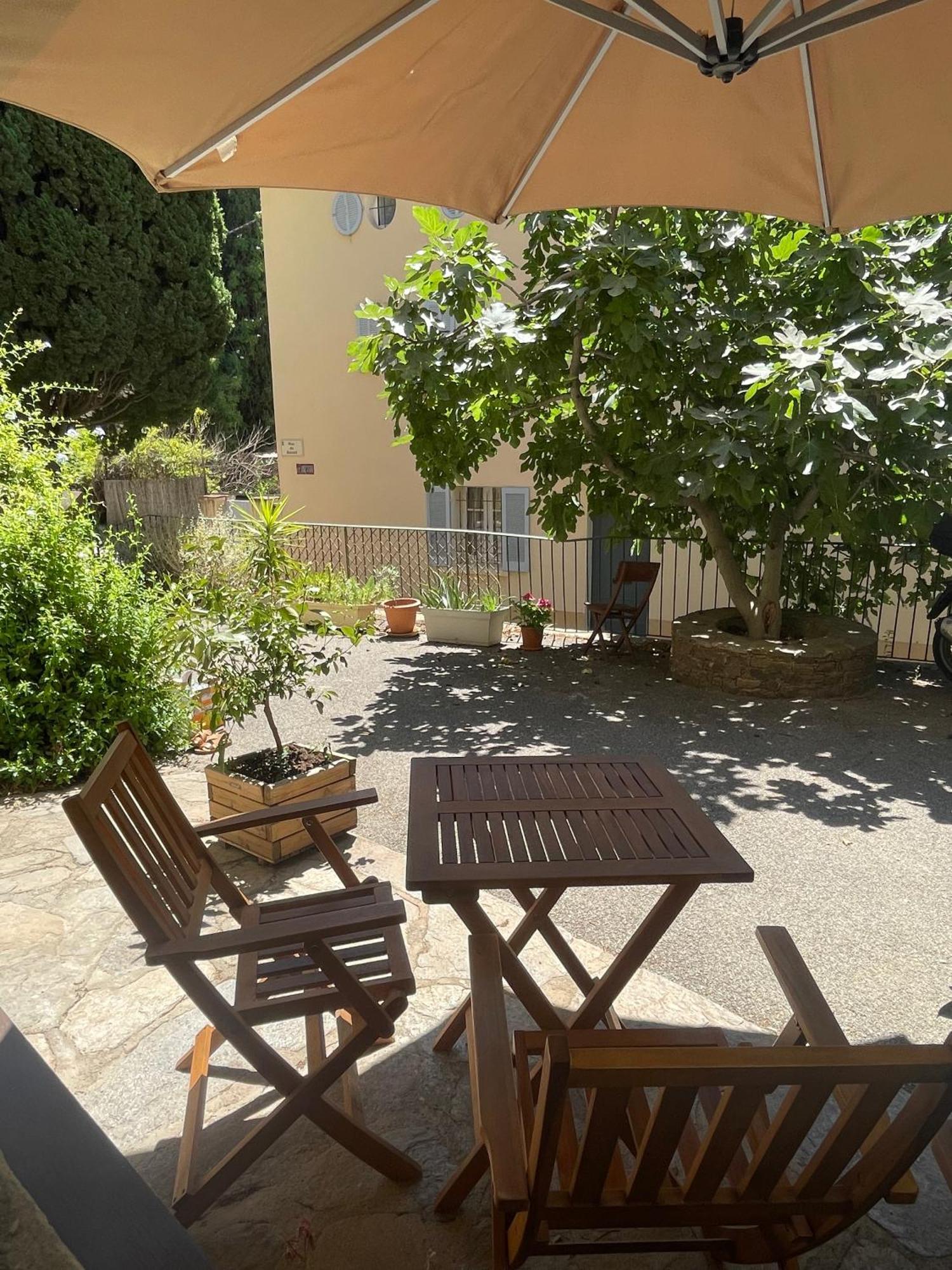 Cosy Studio - Place Du Figuier Борм-ле-Мімоза Екстер'єр фото